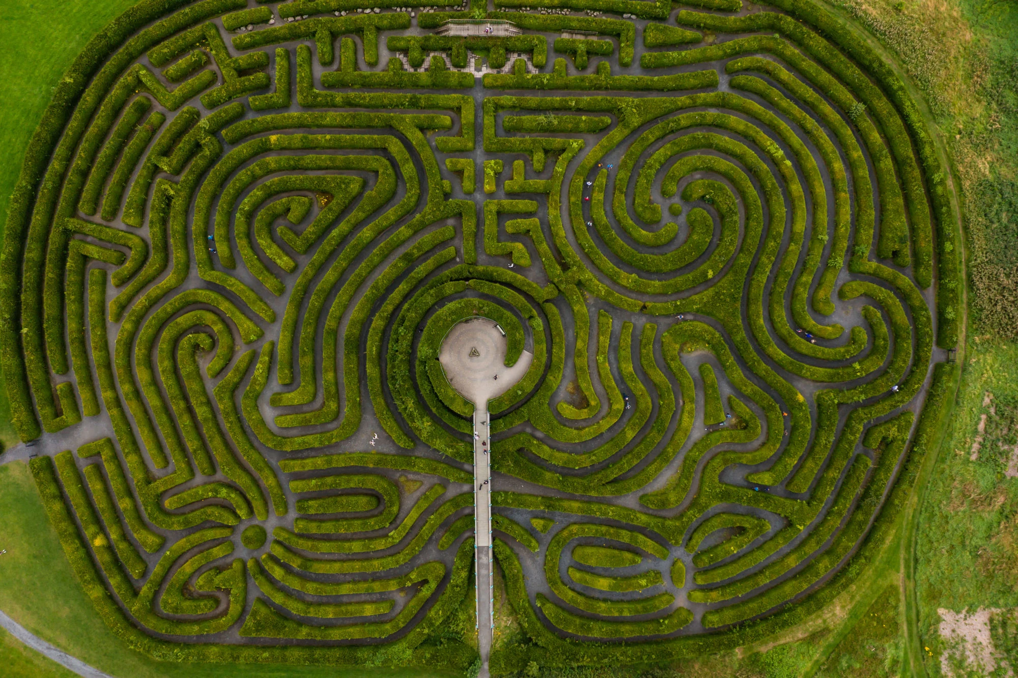 An image of The Peace Maze at Castlewellan Forest Park located in County Down taken from a birds-eye view